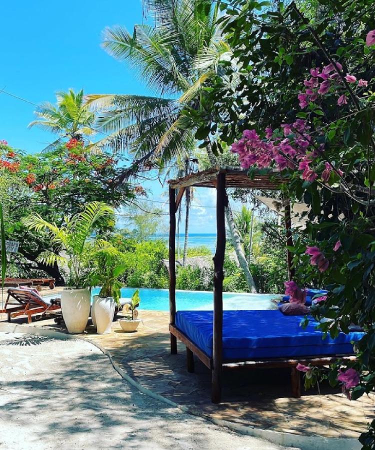 Bellevue Zanzibar Bed & Breakfast Bwejuu Exterior photo