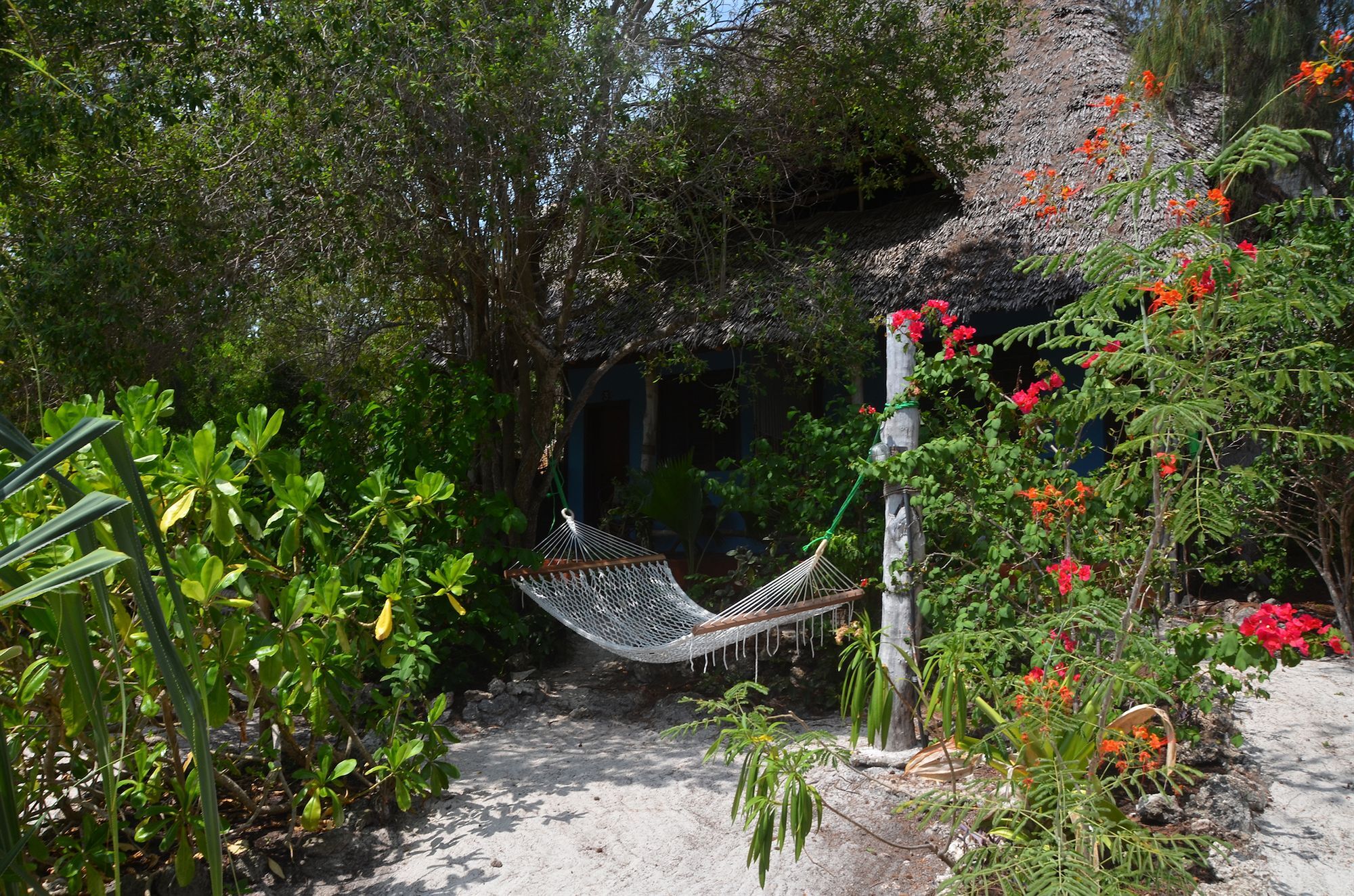 Bellevue Zanzibar Bed & Breakfast Bwejuu Exterior photo